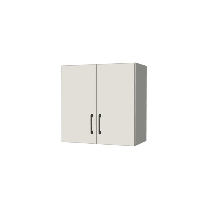 24" Wide x 24" High Wall Cabinet - (White Melamine Boxes - Flat Panel Doors)